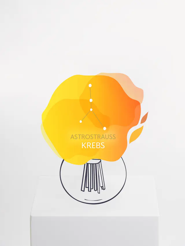 Astrostrauß Krebs