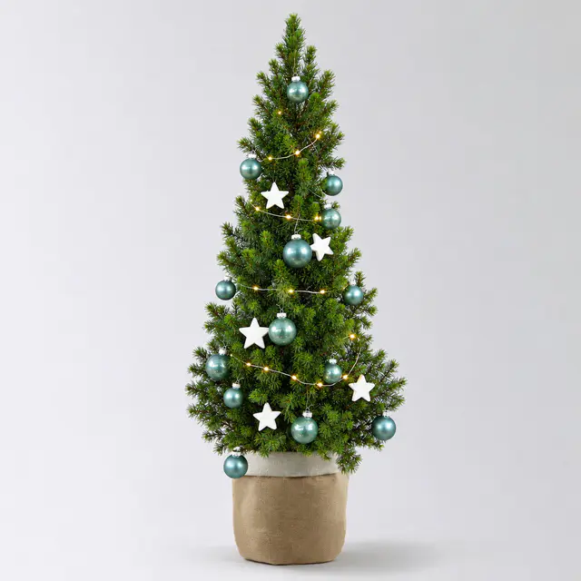 Weihnachtsbäumchen inkl. Deko, jade, Höhe ca. 50 cm, Topf-Ø 23 cm