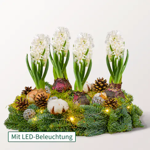 Arrangement Frohe Weihnachten