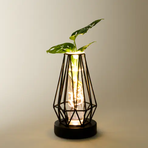 Waterplant Monstera im Metallgefäß