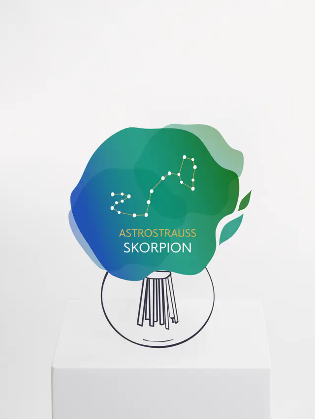 Astrostrauß Skorpion