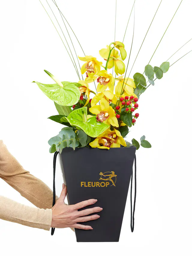Magie der Orchideen