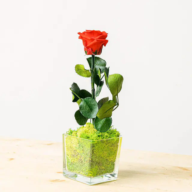 Rose in Kristall
