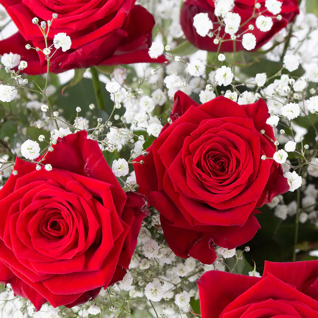 Rote Rosen mit Schleierkraut - Premium-Rosen — Bild 2