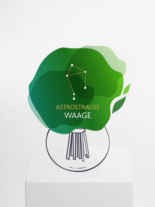 Astrostrauß Waage