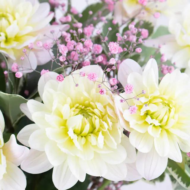 Blumenstrauß Dahlia — Bild 2