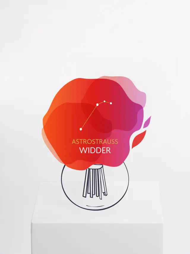 Astrostrauß Widder