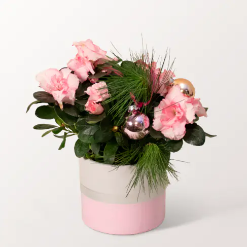 Weihnachten in Rosa