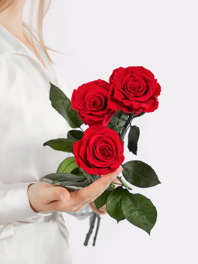 Infinity Rosen: Ewige Liebe
