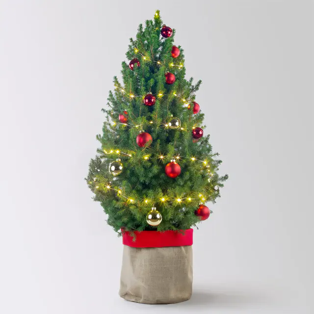 Weihnachtsbäumchen inkl. Deko, rot-gold, Topf-Ø 25 cm, Höhe ca. 100 cm