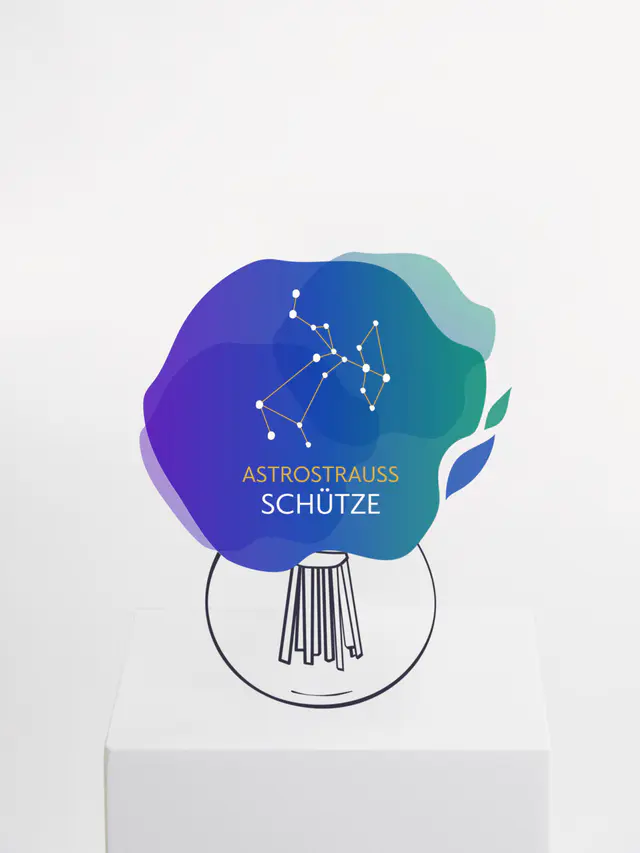 Astrostrauß Schütze
